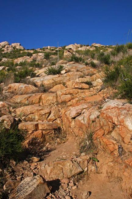 Yes this is the trail
