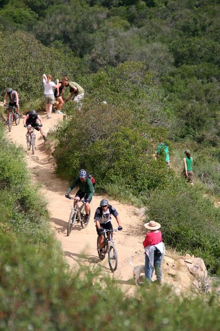 Elfin Climb