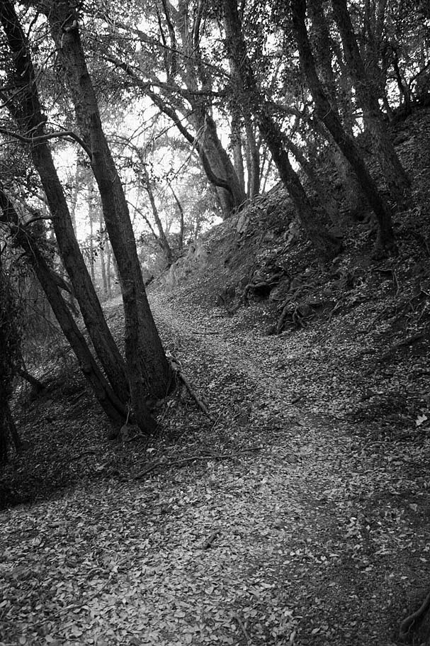 Silver Moccasin Trail