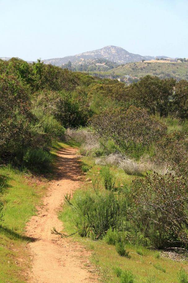 SouthPoway-24MAR13-14 SouthPoway-24MAR13-14