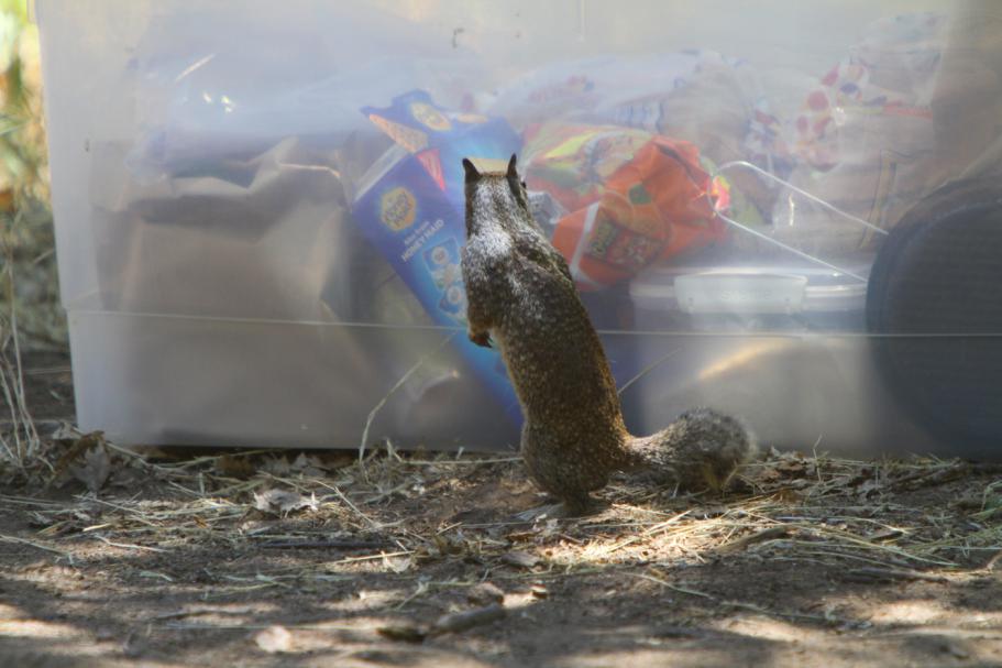 BLTCamping-JUL2014-33