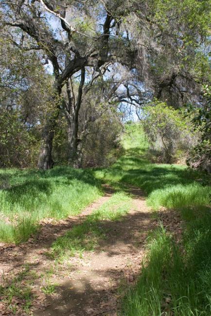 trail