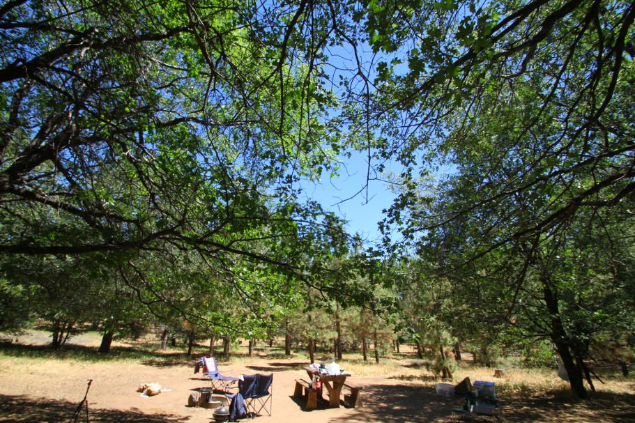 BLTCamping-JUL2014-46