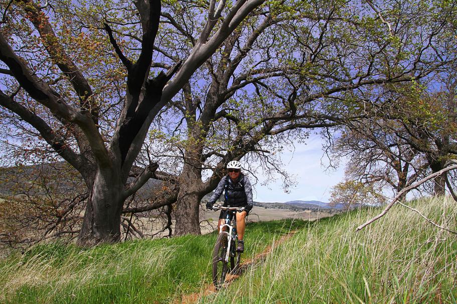 Cuyamaca-22MAR15-11