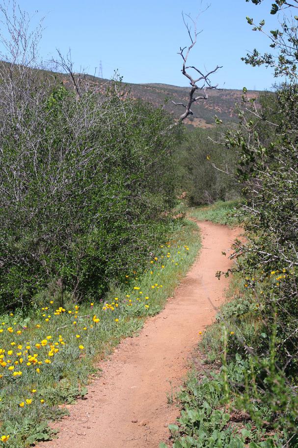 SycamoreCanyon-07MAR15-02a