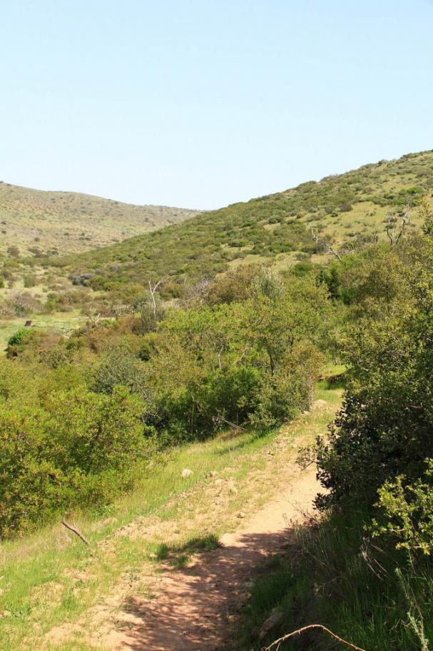 SouthPoway-24MAR13-09