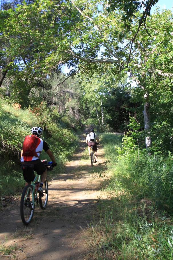 Coast2Crest-19APR15-36