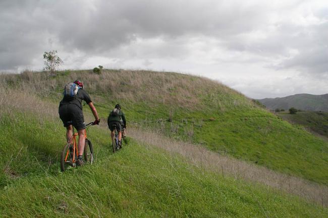 Singletrack Hillside