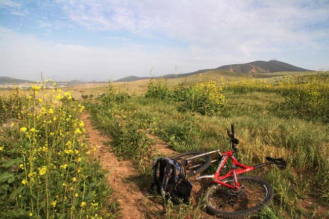 Santa Luz with Black Mountain in the Background