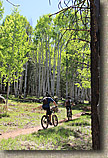 AZ 2010 - Flagstaff Part I