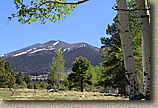 AZ 2010 - Flagstaff Part I