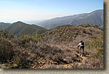 Photo from along the Bell Ridge Trail