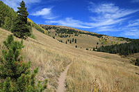 Two Elks Trail