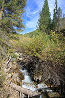 Two Elks Trail