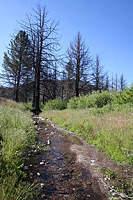 images/Trails/Cuyamaca/CuyamacaMountains-29MAY06-01.jpg