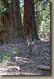 images/Trails/FreemanGrove/Freeman-18JUN06-20.jpg