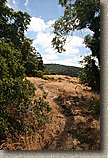 Golden Eagle Trail