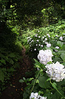 Takatori in Japan