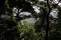 Takayama near Yokosuka Japan