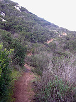 LakeHodges-South-22DEC04-12.JPG (139491 bytes)