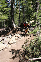 images/Trails/LakeTahoe/Tahoe-08JUL05-ChristmasValley-07.jpg