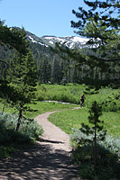 images/Trails/LakeTahoe/Tahoe-08JUL05-ChristmasValley-13.jpg