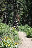 images/Trails/LakeTahoe/Tahoe-08JUL05-ChristmasValley-22.jpg