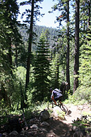 images/Trails/LakeTahoe/Tahoe-08JUL05-DHFromDriscollLake-20.jpg