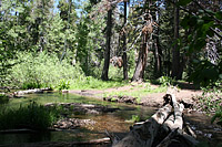 images/Trails/LakeTahoe/Tahoe-08JUL05-TowardsDriscollLake-06.jpg
