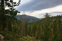 images/Trails/LakeTahoe/Tahoe-09JUL05-TRT-SpoonerToDiamondPk-13.jpg