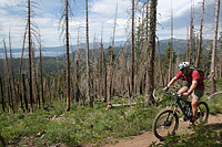 images/Trails/LakeTahoe/Tahoe-09JUL05-TRT-SpoonerToDiamondPk-15.jpg