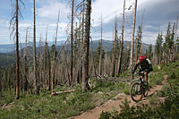 images/Trails/LakeTahoe/Tahoe-09JUL05-TRT-SpoonerToDiamondPk-20.jpg