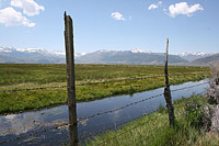 images/Trails/LakeTahoe/Tahoe-7JUL05-DriveUp15.jpg