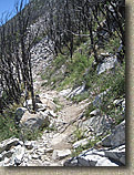 Mount Lowe to JPL Trails