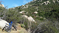 Warren Canyon Trail