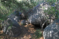 Warren Canyon Trail