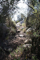 images/Trails/MtWoodson-LakePoway/WarrenCanyon-10JUN07-08.jpg