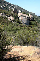 images/Trails/MtWoodson-LakePoway/WarrenCanyon-10JUN07-12.jpg
