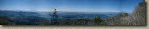 NHG-12JAN03-Pan2.jpg (356640 bytes)