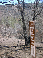 NobleCanyon-17JAN04-TrailOpen.JPG (157407 bytes)
