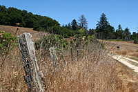 images/Trails/Norcal07/WilderRanch-15JUL07-14.jpg