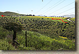 The Otay Mountain Loop