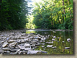 Wissahickon Trail System