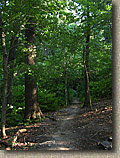 Wissahickon Trail System