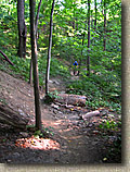 Wissahickon Trail System