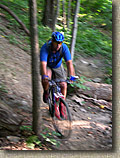 Wissahickon Trail System