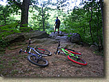 Wissahickon Trail System