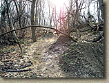 Wissahickon Trail System