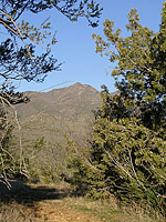 Palm Canyon Pinyon Flats Loop