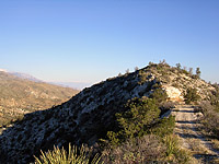 Palm Canyon Pinyon Flats Loop